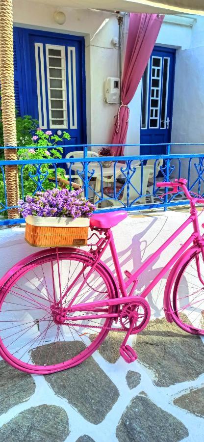 帕罗奇亚The Hot Pink Bike House别墅 外观 照片